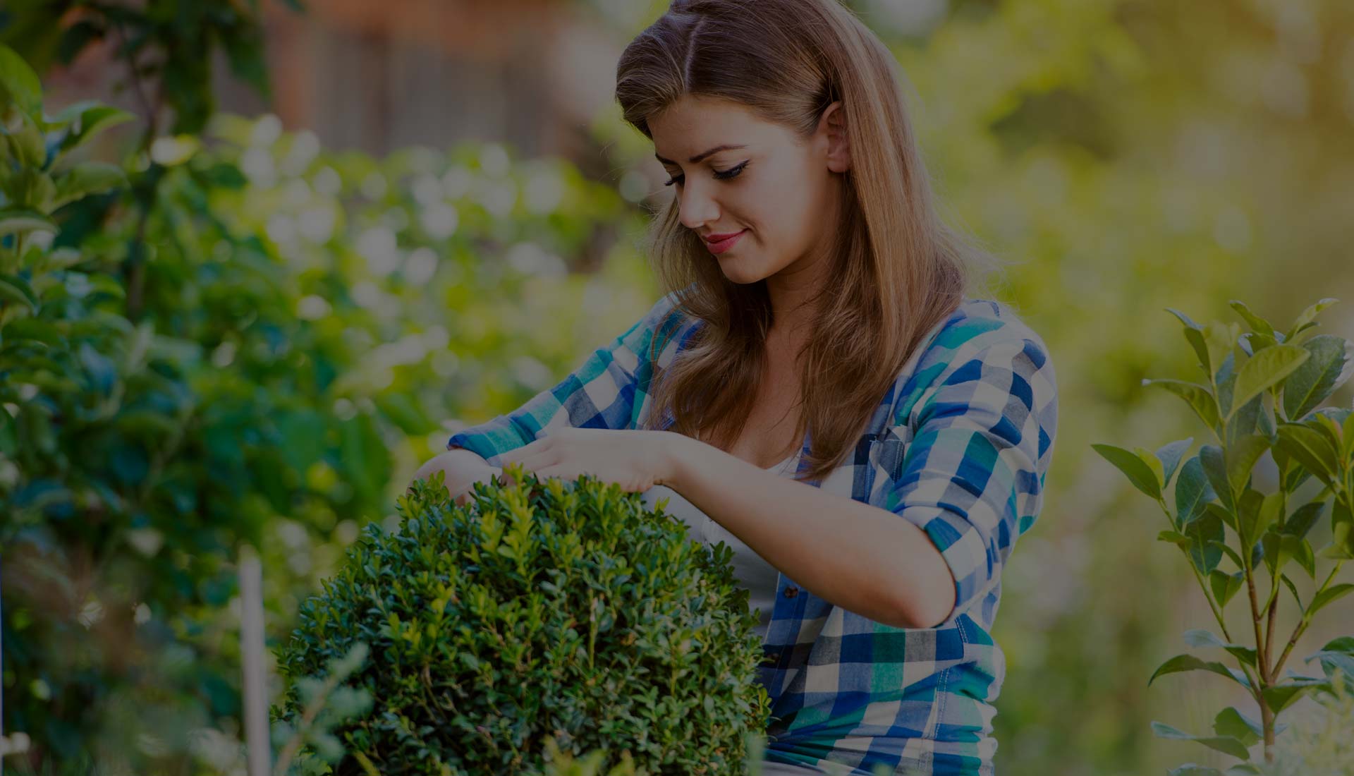 5 Proven Ways to Grow Your Wealth Through SACCO Savings & Dividends